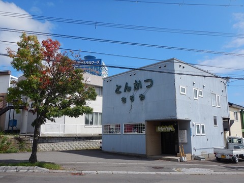 DSCN2785