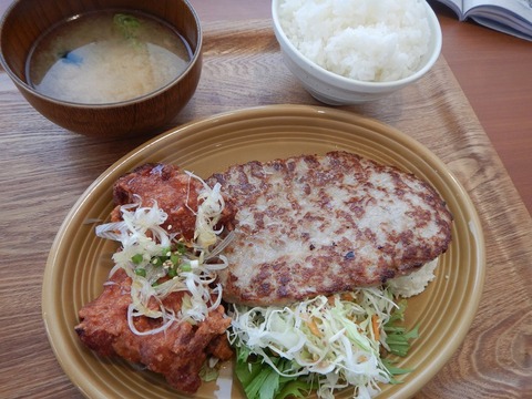 DSCN3355