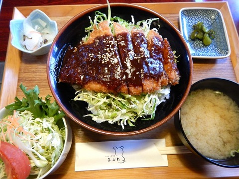 DSCN8675