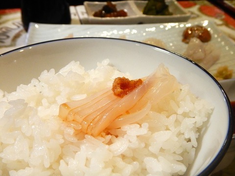 DSCN1736