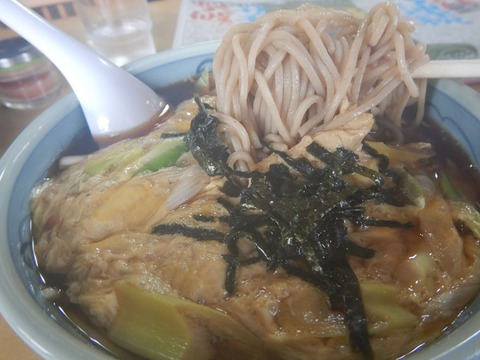 DSCN4155