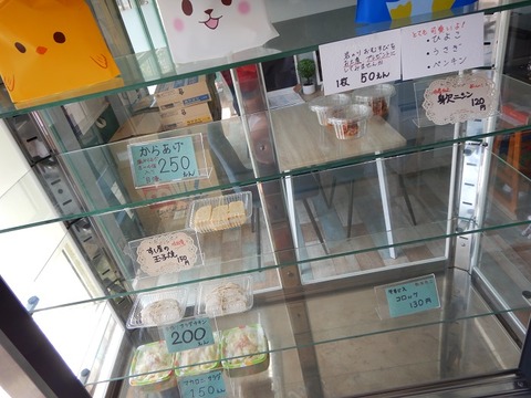 DSCN2079