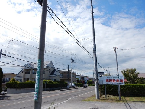 DSCN3282