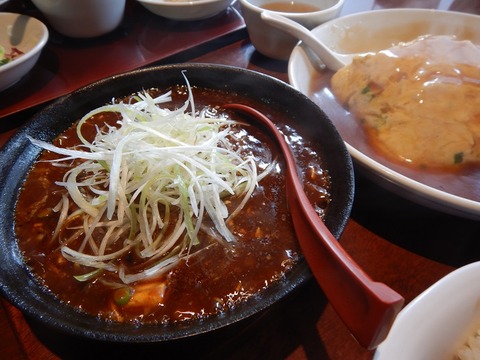 DSCN4483
