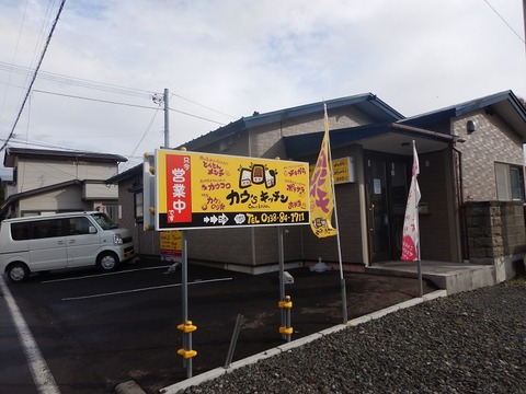 DSCN7011