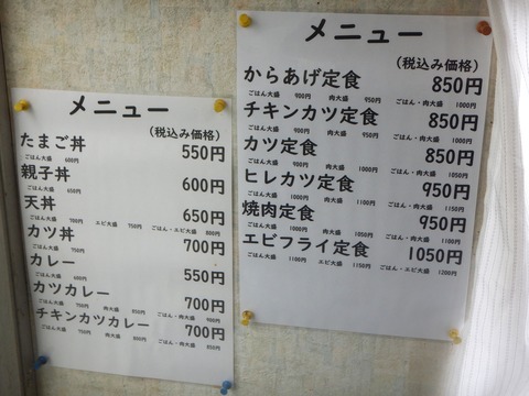 DSCN4736