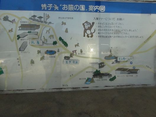 イメージ 5