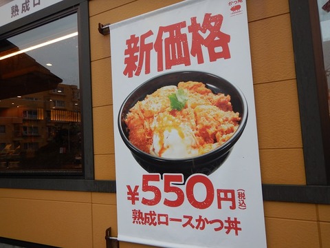 DSCN4188