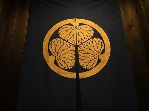 イメージ 5