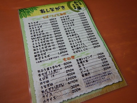 DSCN1766