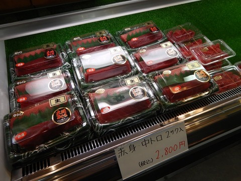 DSCN6537