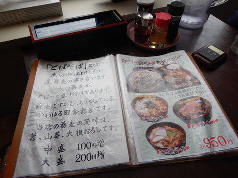 DSCN0629