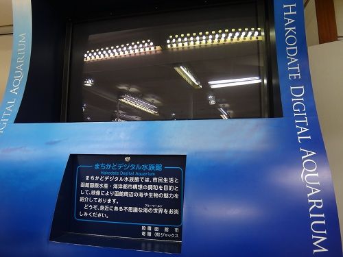 イメージ 10