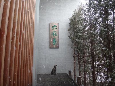 イメージ 11