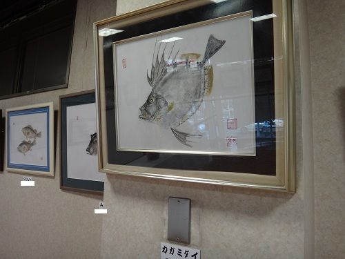 イメージ 11