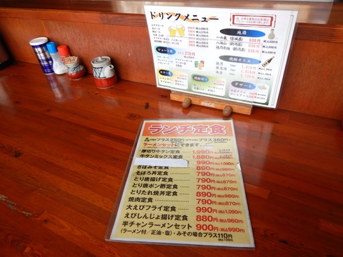 DSCN8733