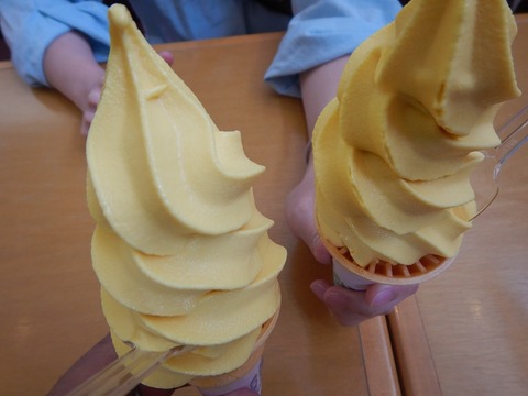 DSCN0527