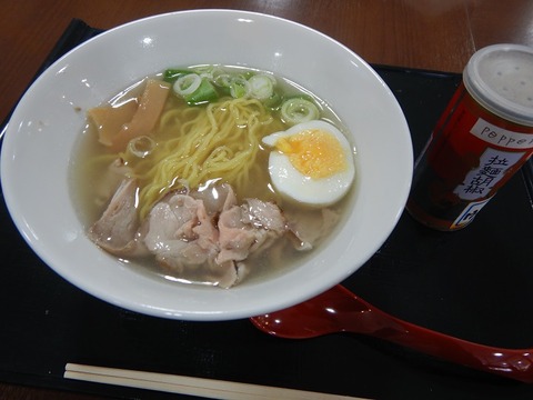 DSCN4391