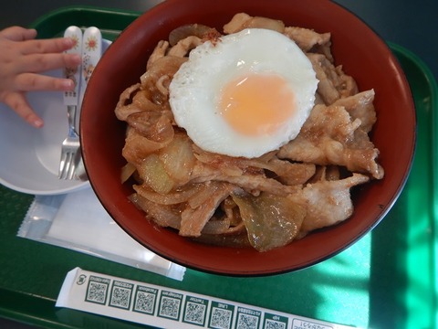 DSCN6102