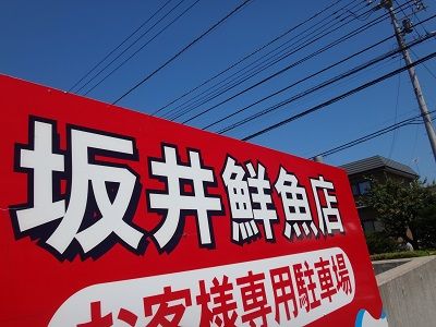 イメージ 6