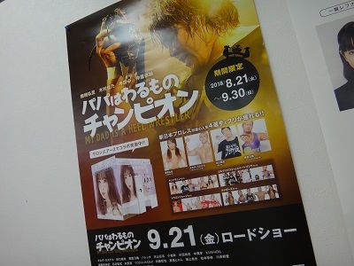 イメージ 9