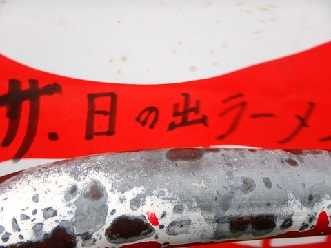 DSCN9513