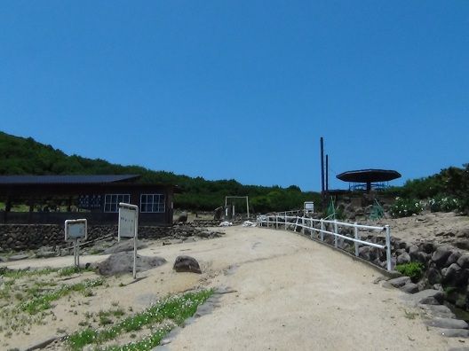 イメージ 7