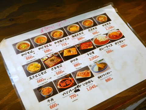DSCN1732