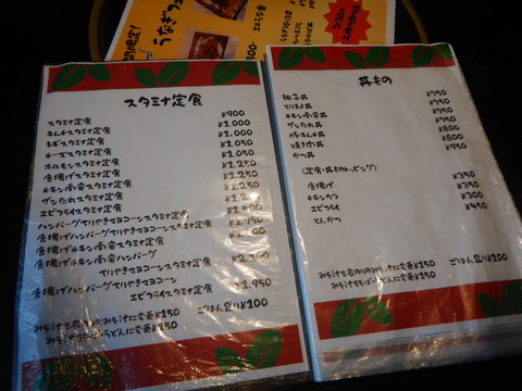 DSCN0873