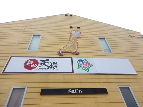 DSCN8867