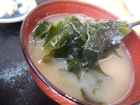 DSCN0667