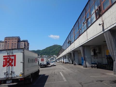 DSCN0659