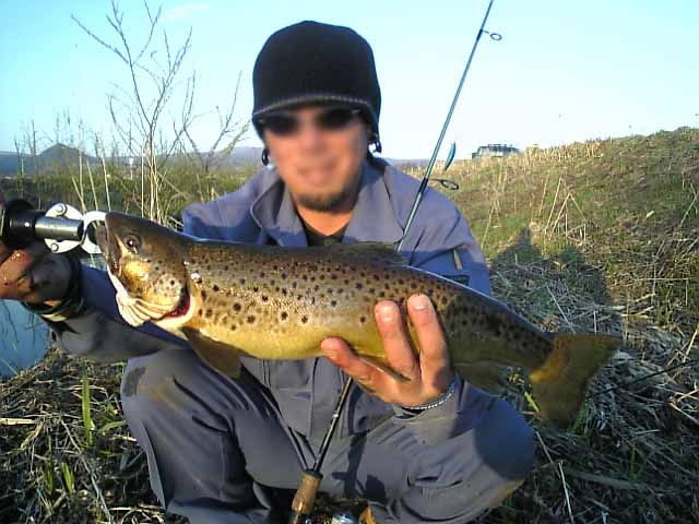 ついに道南にタイガートラウト出現 はこだて自然倶楽部 続 風を追って