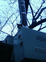 6d5fa289.jpg