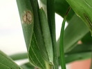 P4100346