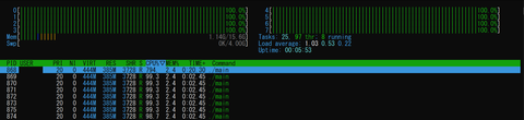 htop_parallel