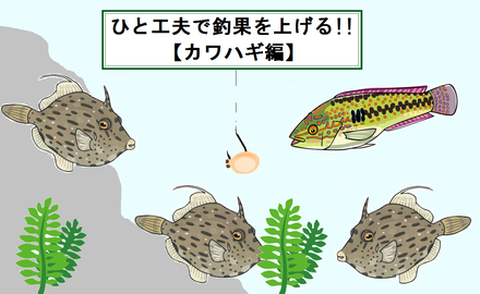 カワハギ