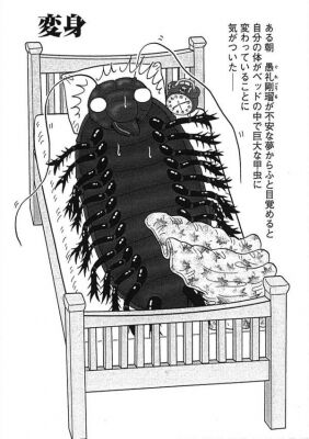 白山神駈道の風露草(かみかけみちのふうろそう) hakusankamikake