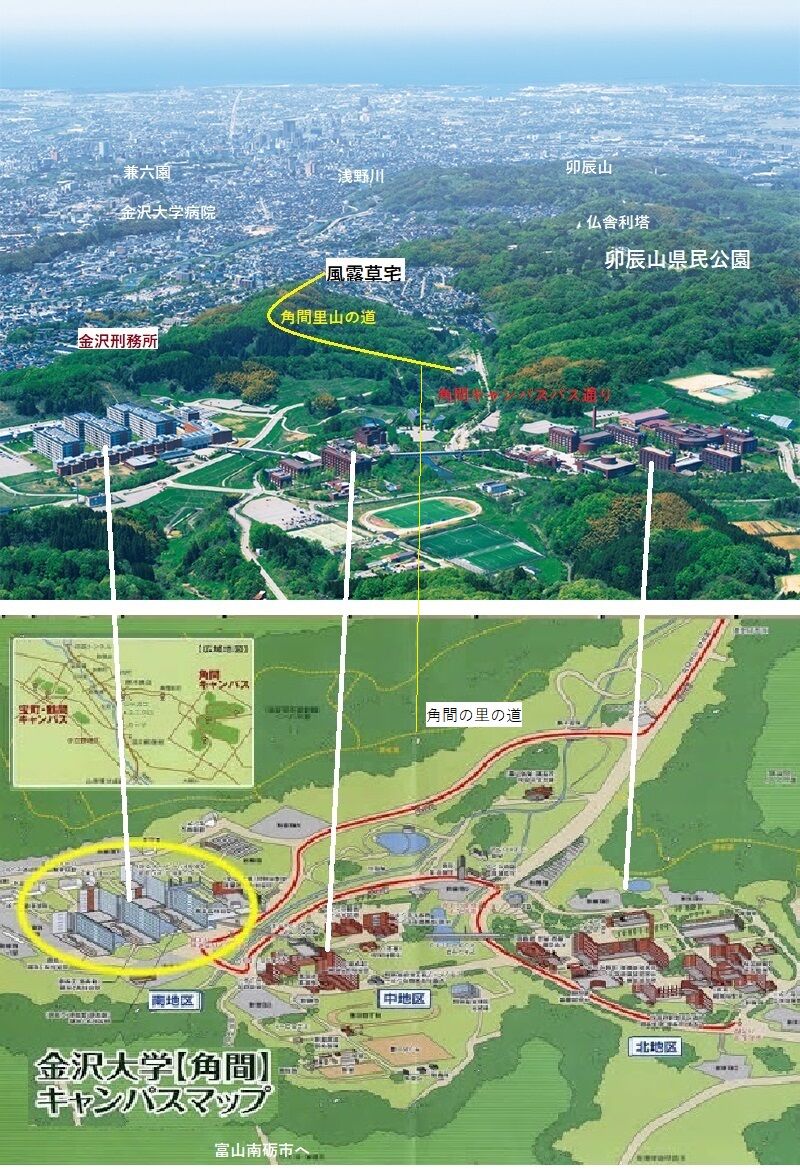 風露草宅周囲の環境 白山神駈け道の風露草 白山神駈道の風露草 かみかけみちのふうろそう