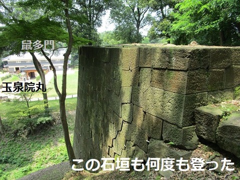 ⑥