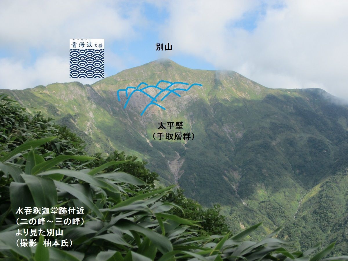 白山別山別名 白山神駈道の風露草 白山神駈道の風露草 かみかけみちのふうろそう