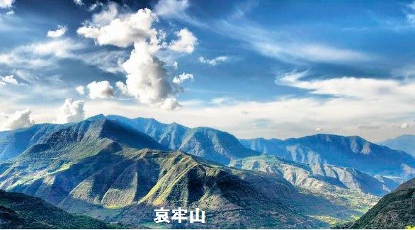 白山神駈道の風露草(かみかけみちのふうろそう) hakusankamikake