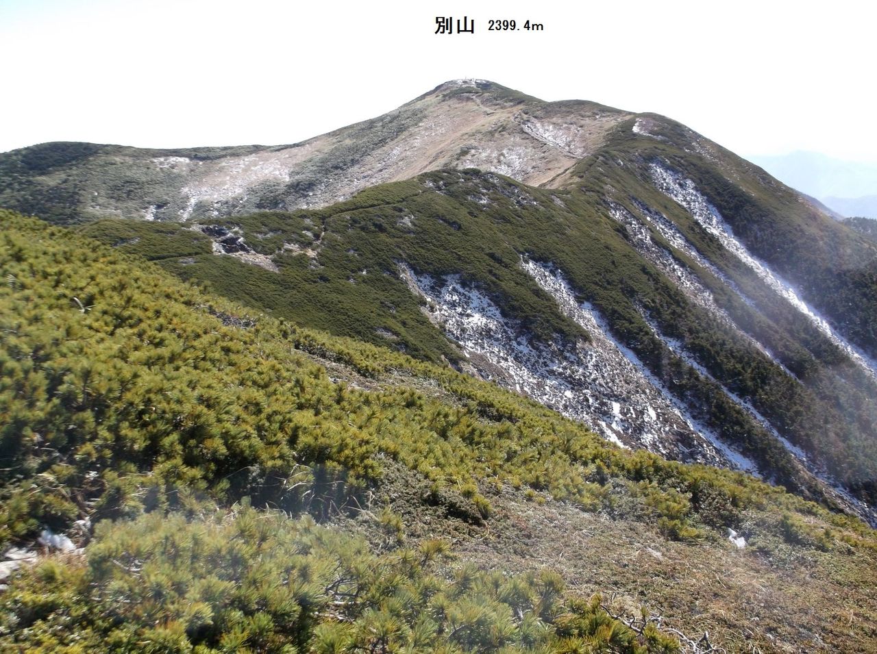別山 市ノ瀬道で見た白山山中巨大砂防工事とトレイルランナーに違和感 白山神駈道の風露草 白山神駈道の風露草 かみかけみちのふうろそう