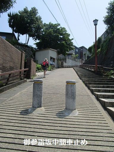 坂道の金沢 その十 御参詣坂と平和町 坂シリーズ最後です 長いけど我慢して読んでね 白山神駈道の風露草 白山神 駈道の風露草 かみかけみちのふうろそう