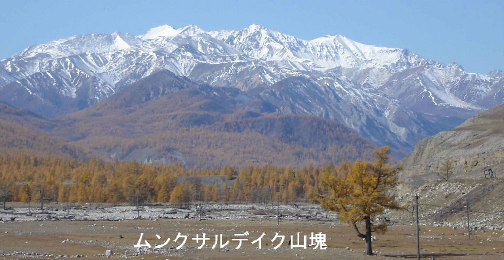 世界の山ウエブで放浪 その23 サヤン山脈 白山神駈道の風露草 白山神駈道の風露草 かみかけみちのふうろそう 世界の山ウエブで放浪 その23 サヤン山脈 白山神駈道の風露草 白山神駈道の風露草 かみかけみちのふうろそう