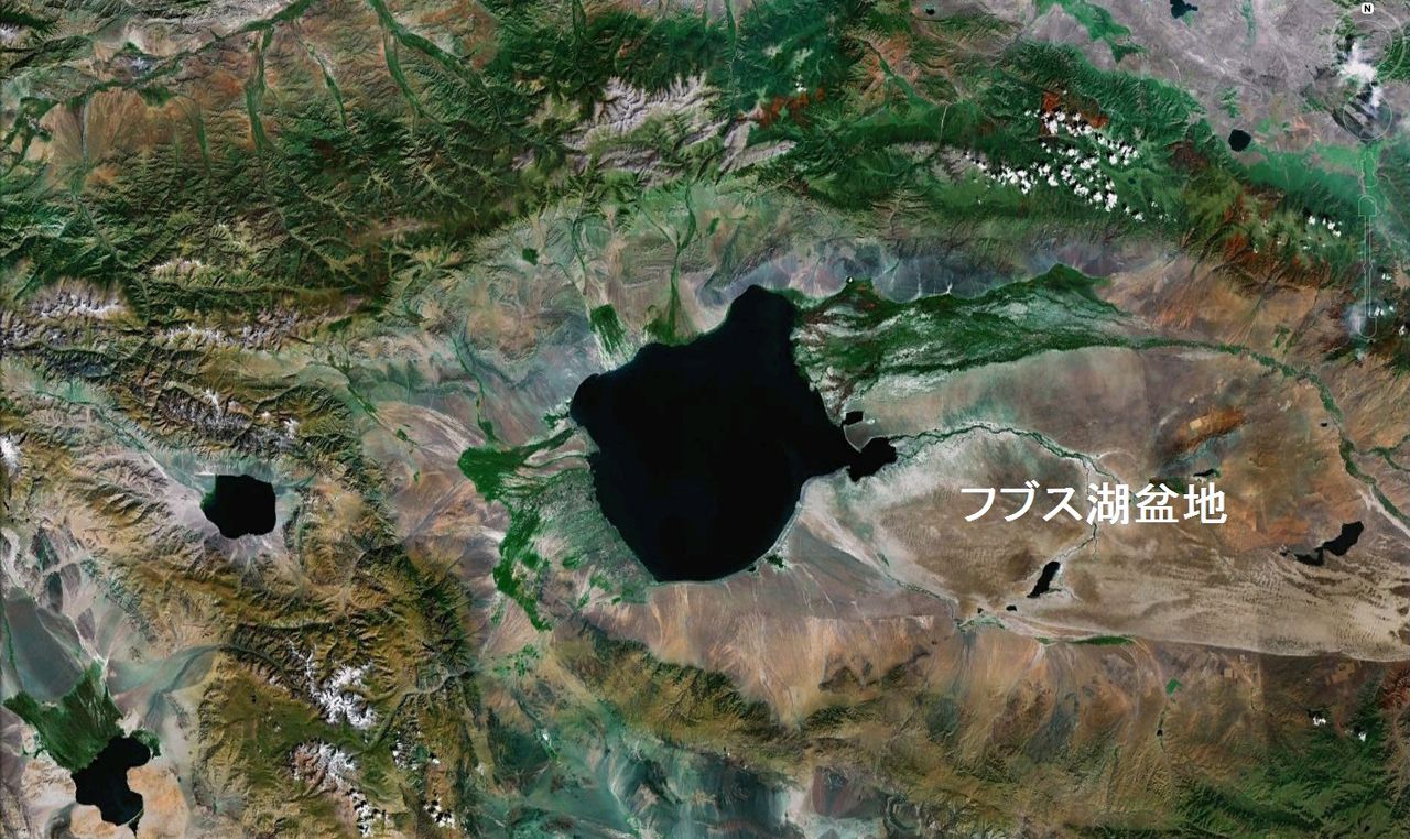モンゴルの白山 世界の山ウエブで放浪 その48 白山神駈道の風露草 白山神駈道の風露草 かみかけみちのふうろそう