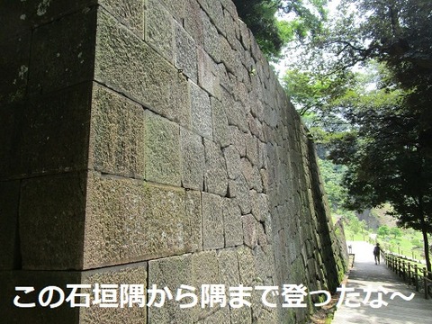 ⑤