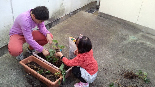 イメージ 3