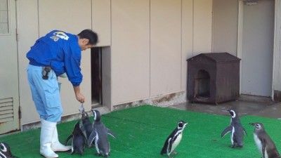 イメージ 6