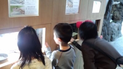 イメージ 9